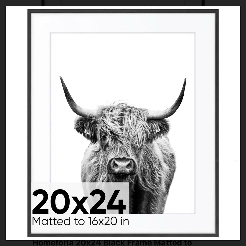 NIB Homeforia Black Frame Highland Cow Art Picture 20x24
